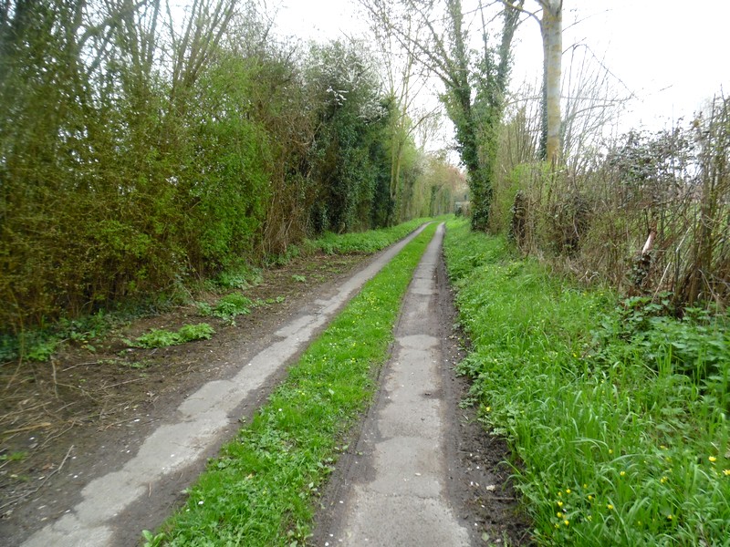 PRETREVILLE  : La boucle de Querville - 6,7KM, Prêtreville - photo 2
