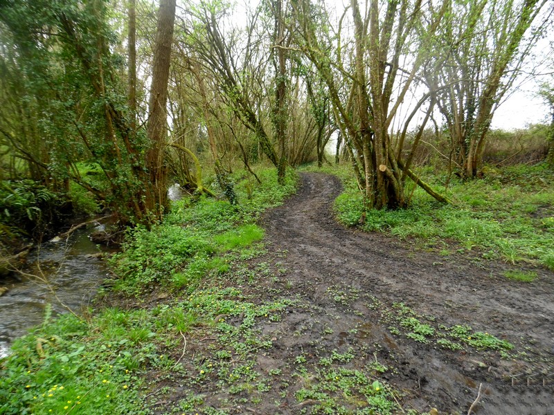 PRETREVILLE  : La boucle de Querville - 6,7KM, Prêtreville - photo 5