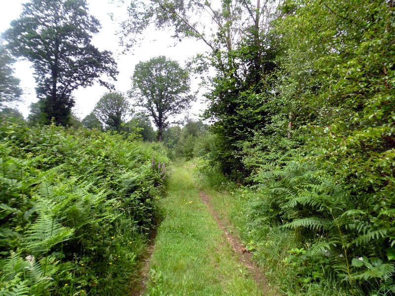 SAINTE-FOY-DE-MONTGOMMERY : Sur les pas de Fernand Léger - 17,3 KM, Val-de-Vie - photo 3