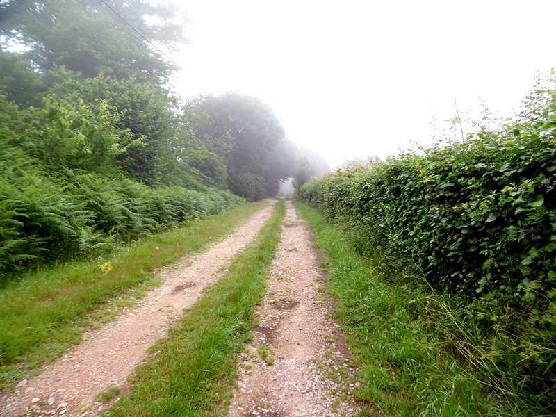 SAINTE-FOY-DE-MONTGOMMERY : Sur les pas de Fernand Léger - 17,3 KM, Val-de-Vie - photo 6