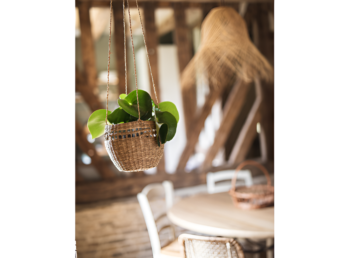 Domaine Le Coq Enchanté - La Bouillerie, Cambremer - photo 6