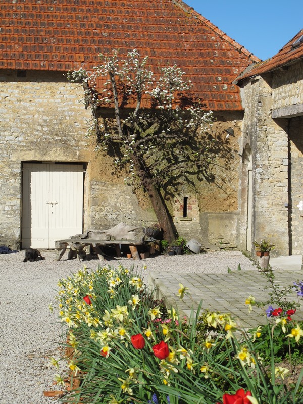 Chambres d'hôtes > Château Le Colombier, Carentan-les-Marais - photo 11