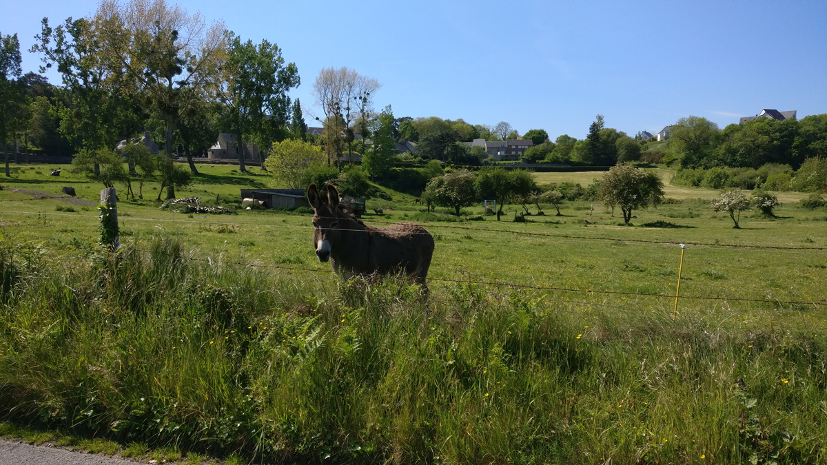 Meublé de tourisme > Les Girouettes à Plumes, Bréville-sur-Mer - photo 7