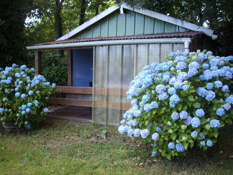 Camping à la ferme "Les Ormeaux", Bricquebec-en-Cotentin - photo 4