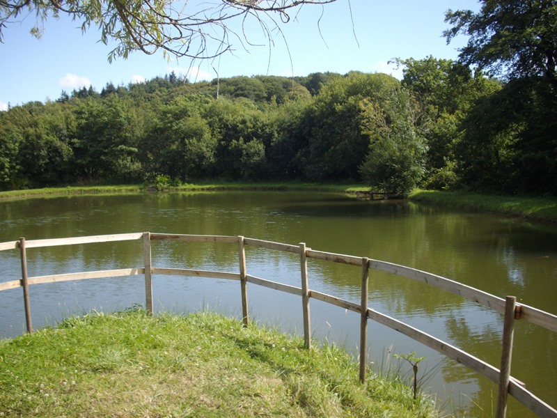 Camping à la ferme "Les Ormeaux", Bricquebec-en-Cotentin - photo 10