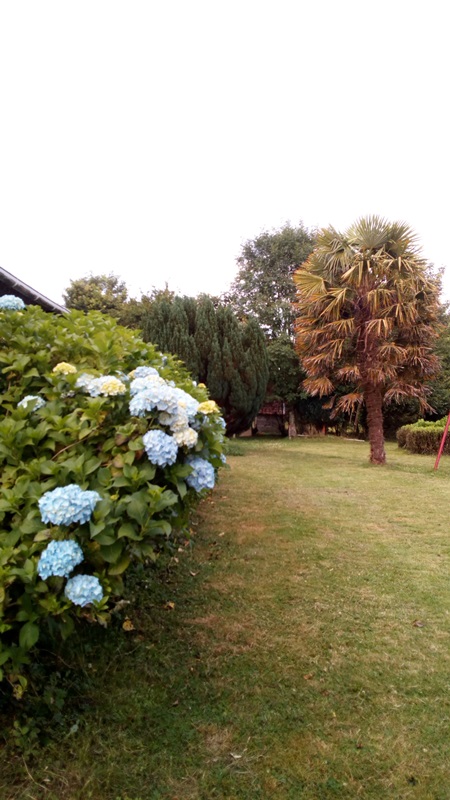 Camping à la ferme "Les Ormeaux", Bricquebec-en-Cotentin - photo 2