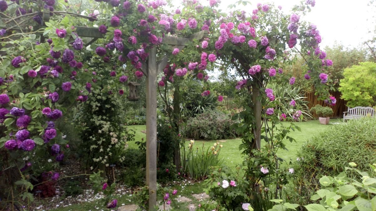 Le Jardin du Presbytère de Brucheville, Carentan-les-Marais - photo 11