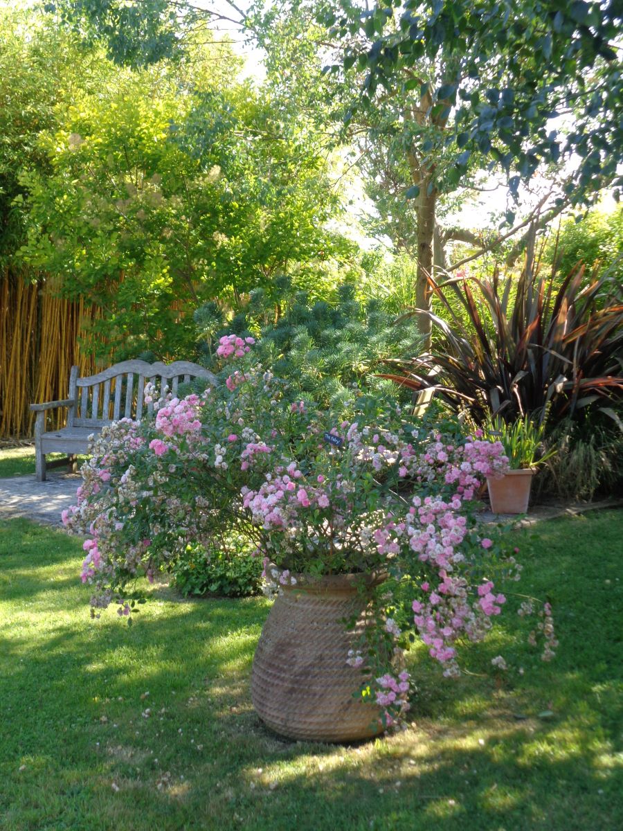 Le Jardin du Presbytère de Brucheville, Carentan-les-Marais - photo 7