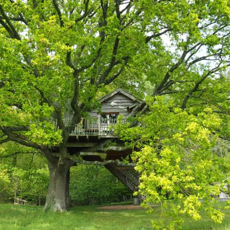 LA-CABANE-DU-PERCHE©Mengeot cabane1_mai2017©Mengeot
