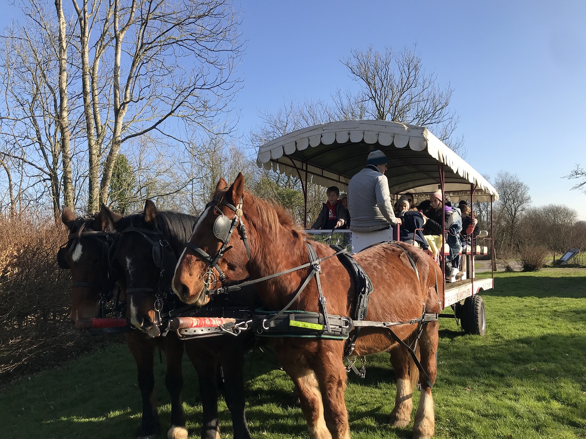 Les marais au rythme des chevaux