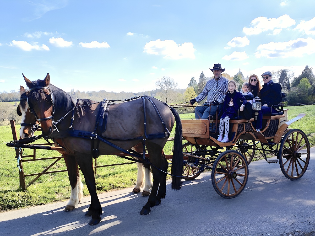 Balade en calèche dans la campagne augeronne - photo 2