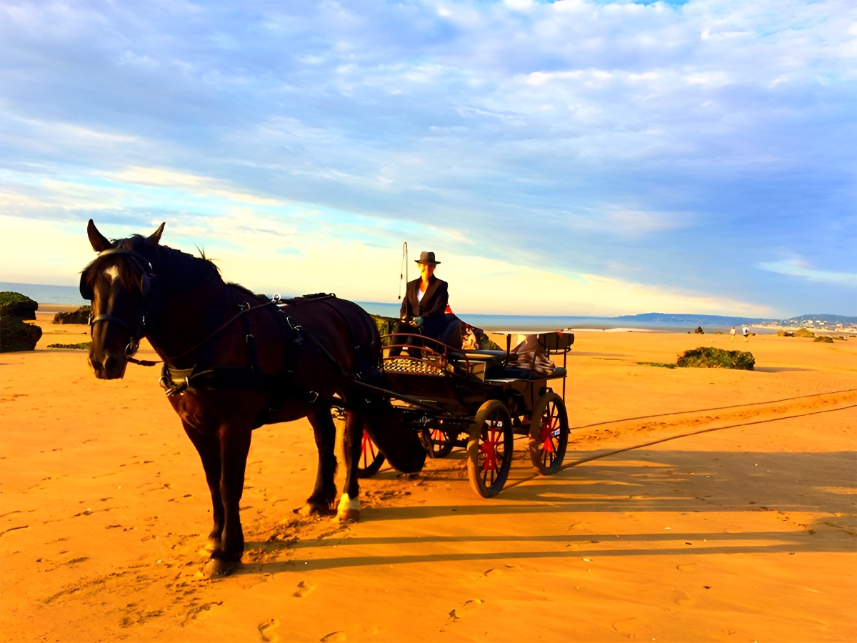 Charly Mobile, Houlgate - photo 3