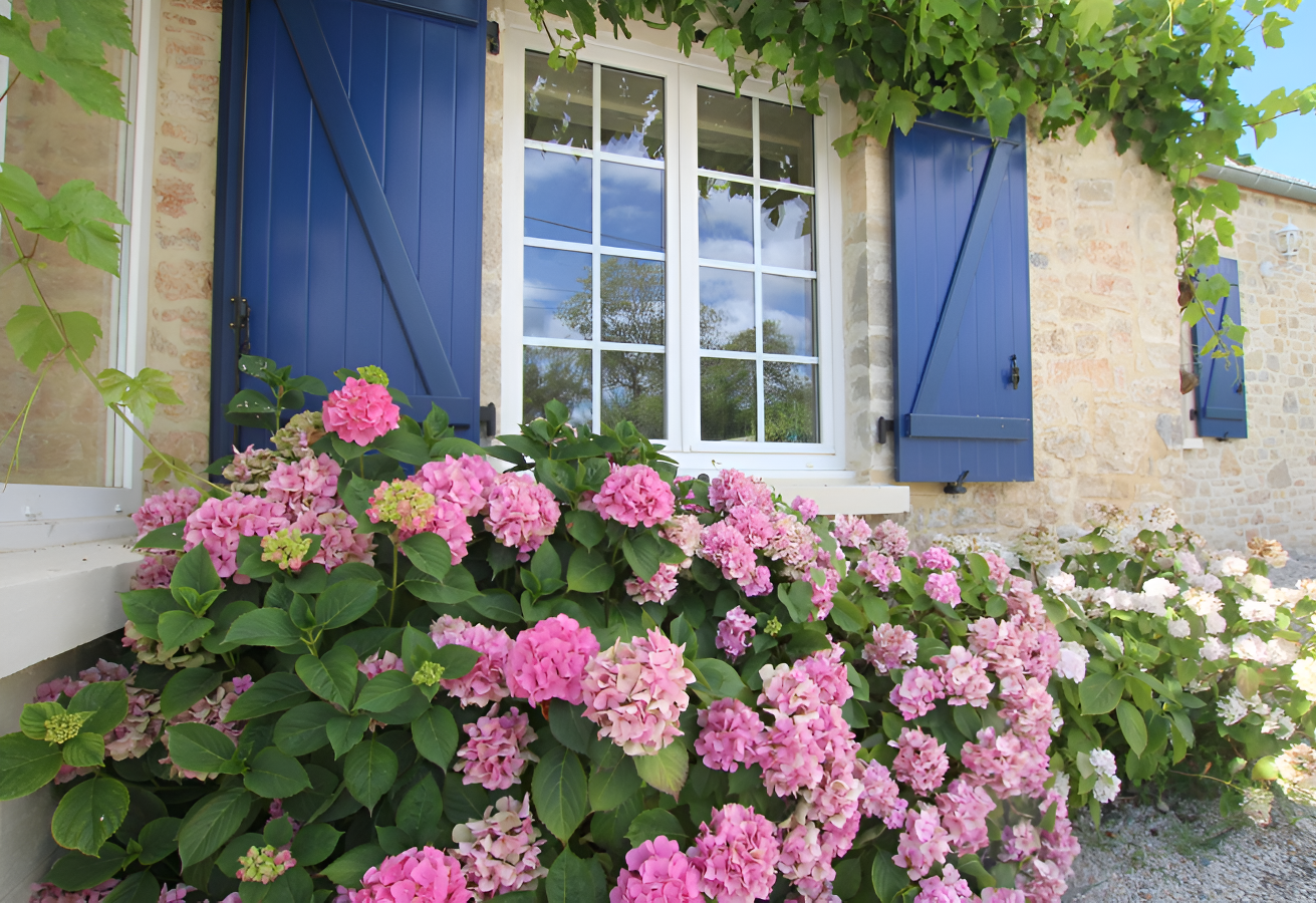 Les hirondelles bleues, Isigny-sur-Mer - photo 6