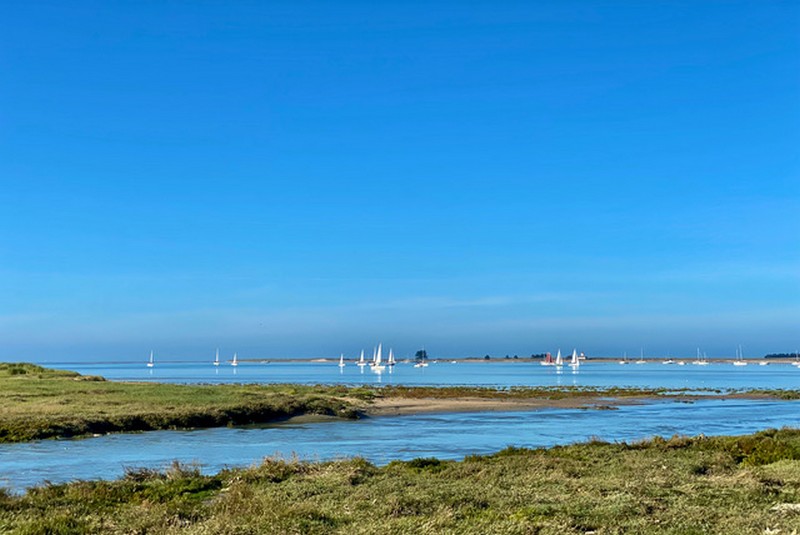 Camping du Havre de Regnéville