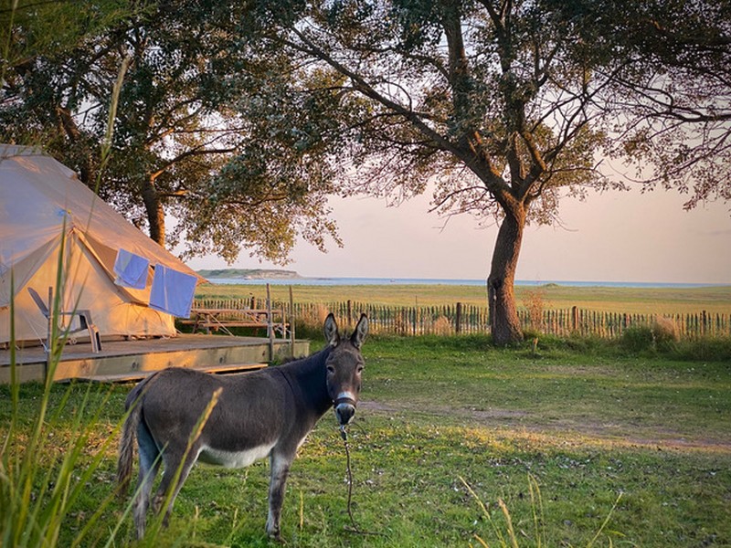 Camping du Havre de Regnéville, Regnéville-sur-Mer - photo 3