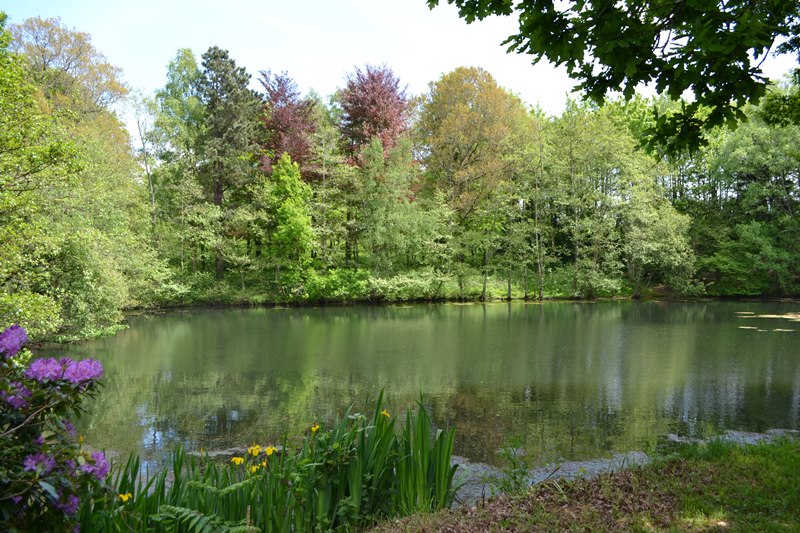 Domaine du Château de Carneville, Carneville - photo 2