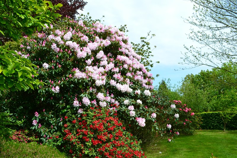 Domaine du Château de Carneville, Carneville