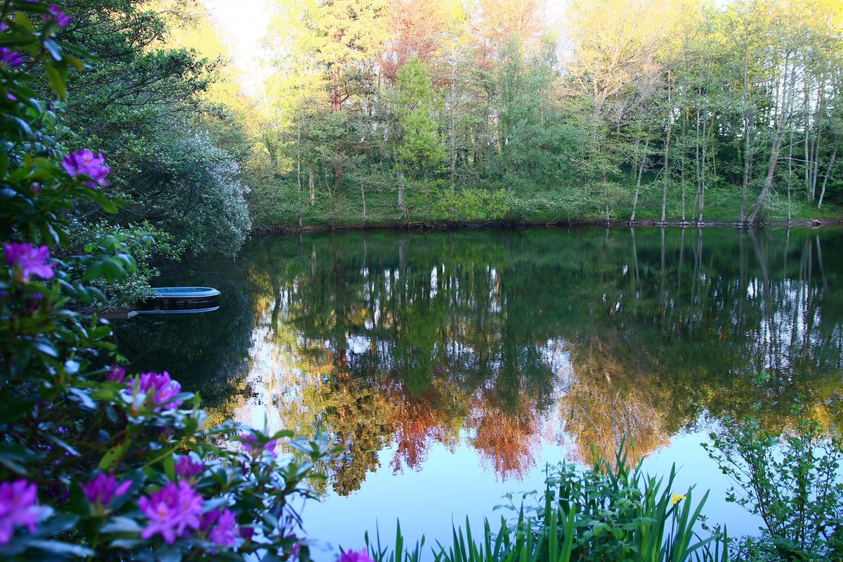 Domaine du Château de Carneville, Carneville - photo 6