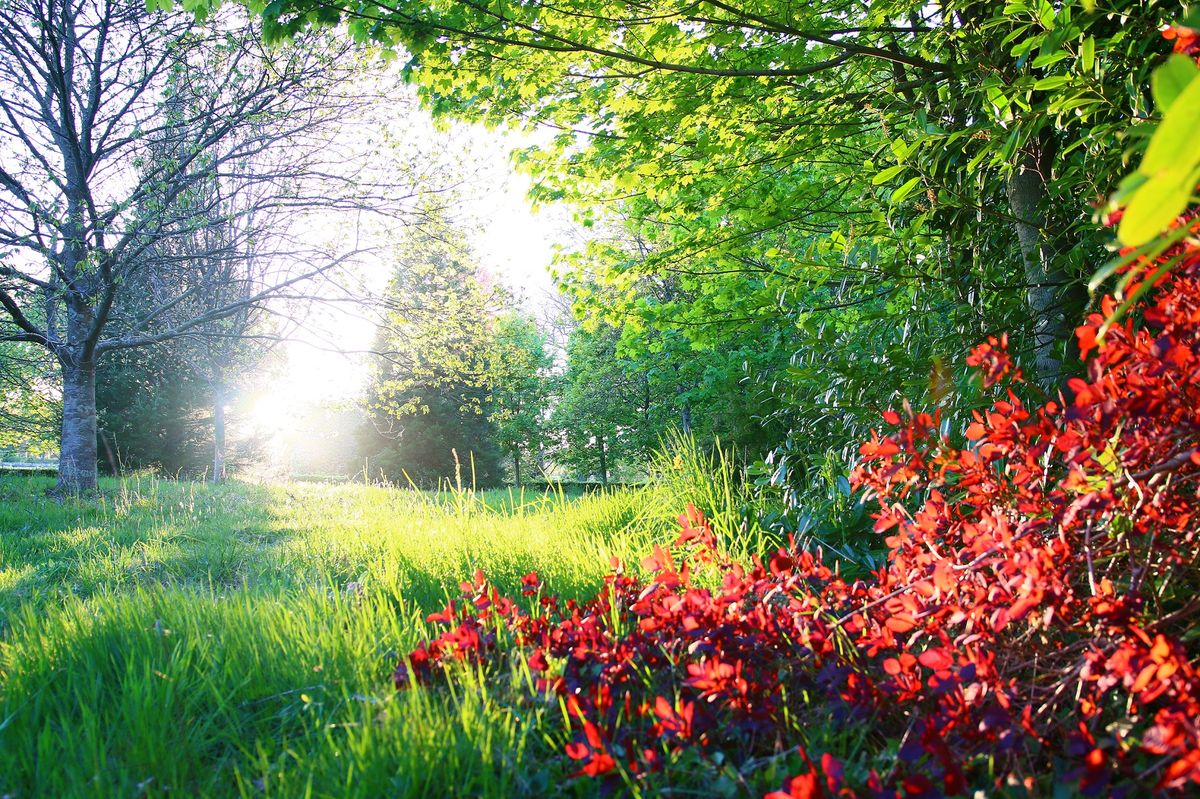 Domaine du Château de Carneville, Carneville - photo 9