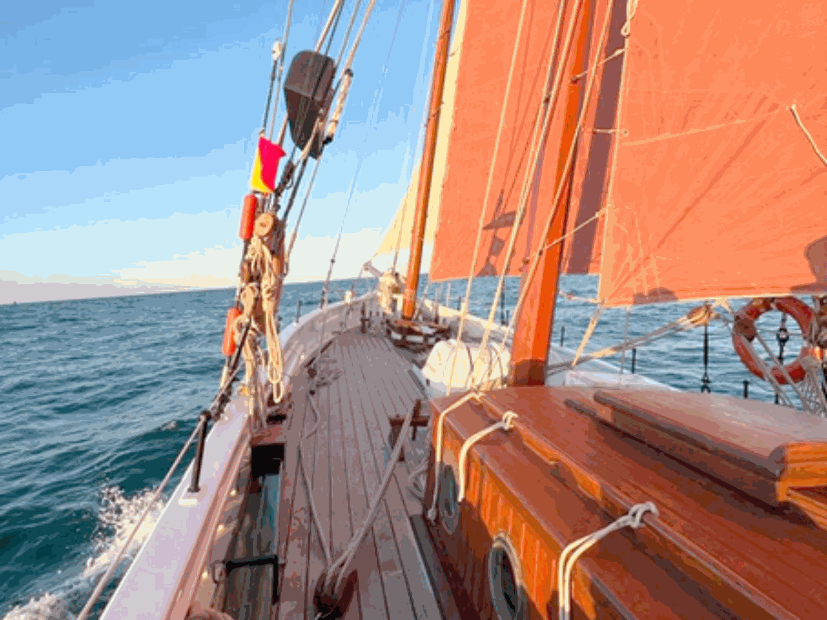 Neire Mâove Goélette du Cotentin