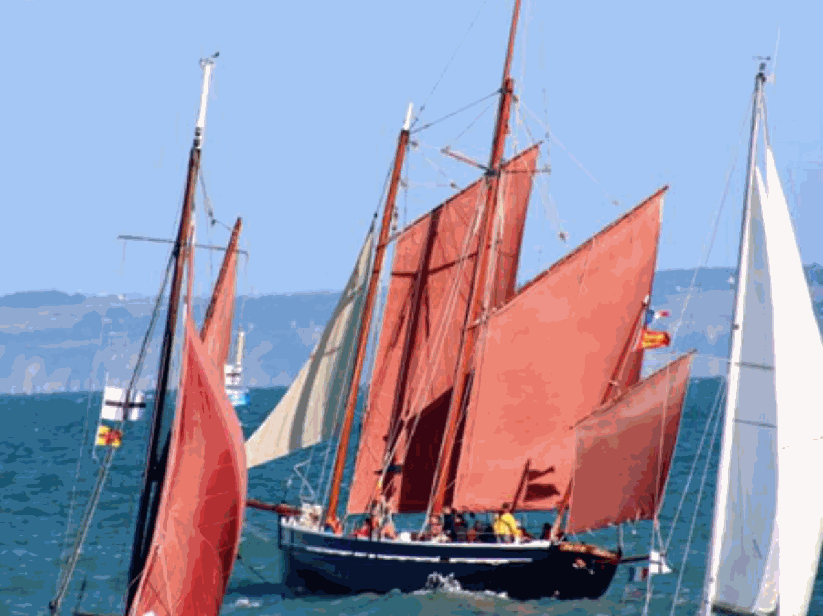 Neire Mâove Goélette du Cotentin, Barneville-Carteret - photo 16