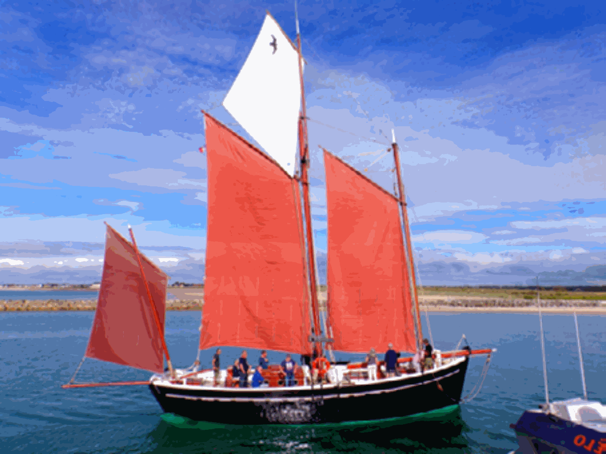 Neire Mâove Goélette du Cotentin, Barneville-Carteret - photo 6