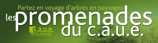 Promenade du CAUE "La Vire d'arbres en arbres", Condé-sur-Vire