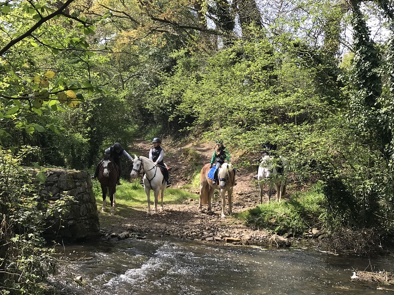 Centre Equestre F'Jump'Cours