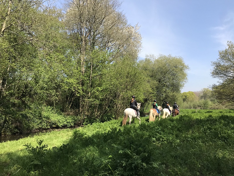 Centre Equestre F'Jump'Cours, Doville - photo 4