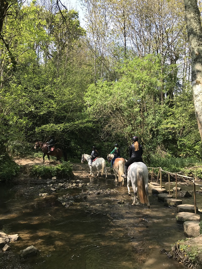 Centre Equestre F'Jump'Cours, Doville