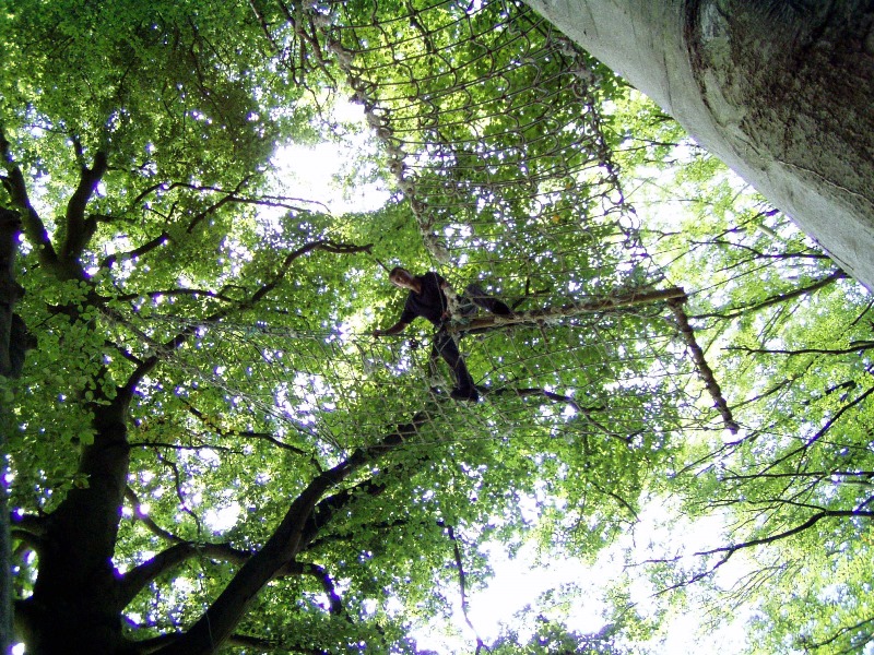 La Forêt des Elfes®, Cérences - photo 5
