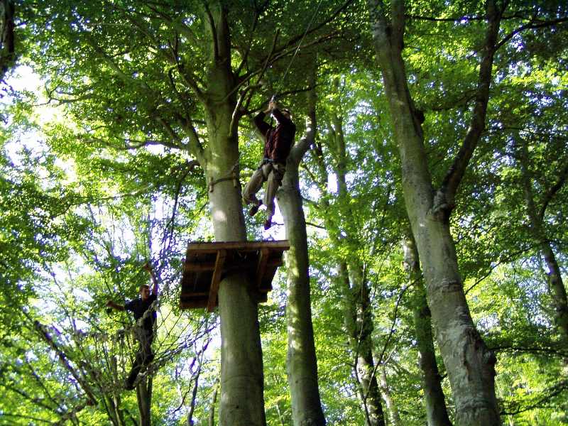 La Forêt des Elfes®, Cérences - photo 4