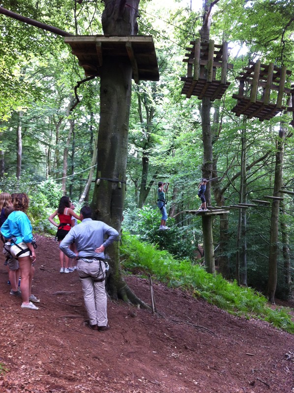 La Forêt des Elfes®, Cérences - photo 3