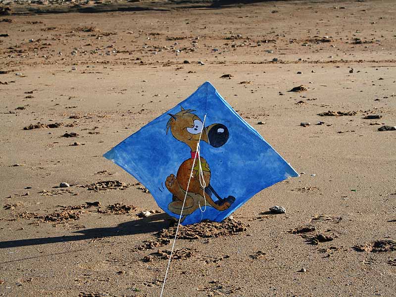 Balade découverte sur la plage d'Hermanville (comprend un atelier cerf volant), Hermanville-sur-Mer - photo 5