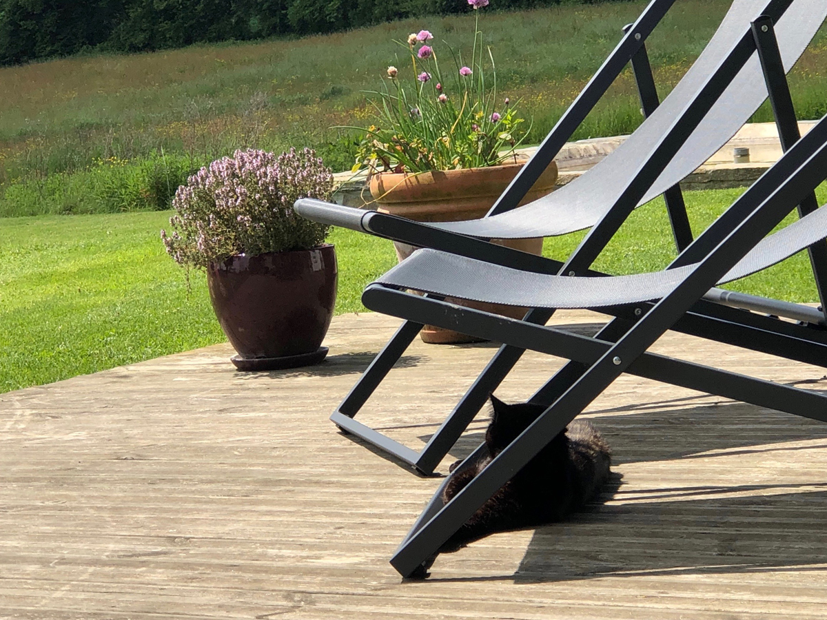 Chambre d'hôtes > Les Rochers, Cerisy-la-Forêt - photo 15