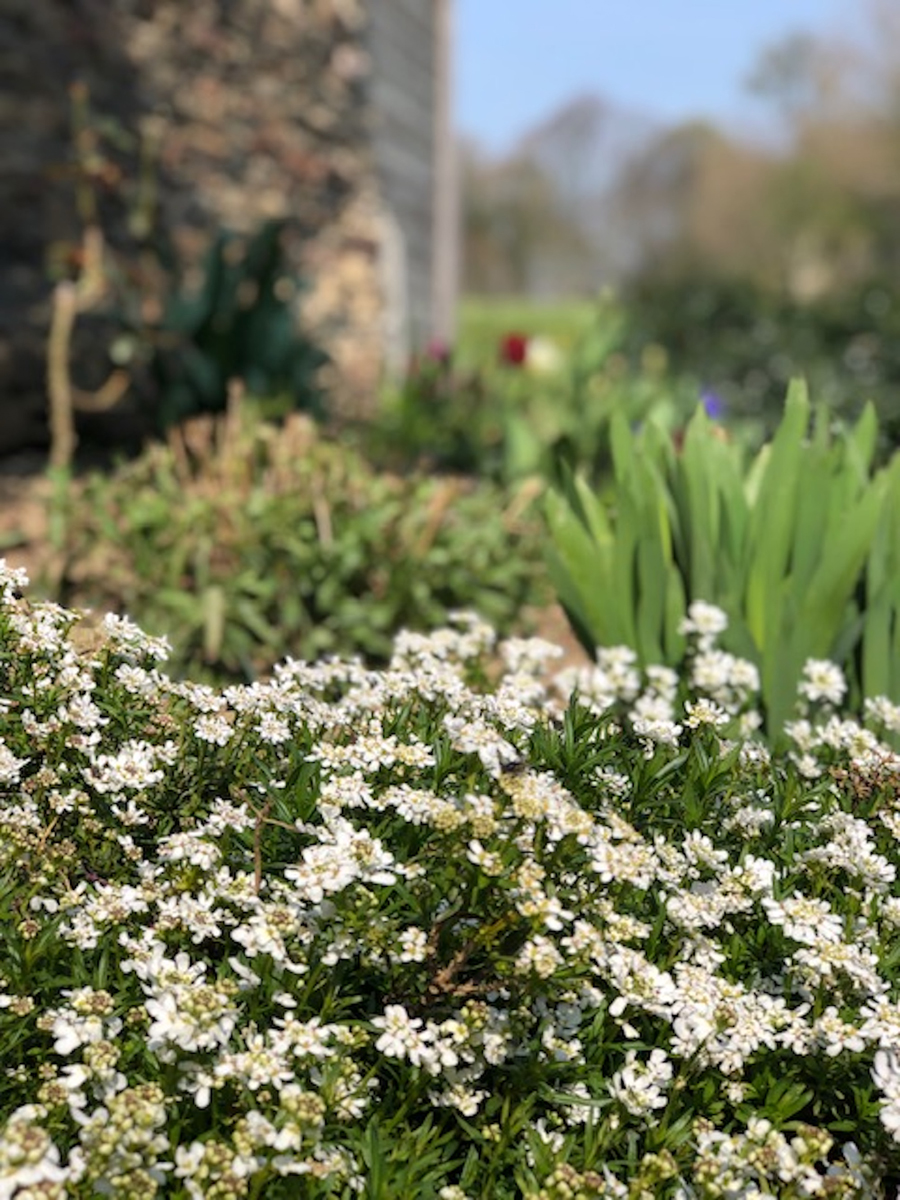 Meublé de tourisme > Les Rochers, Cerisy-la-Forêt - photo 6