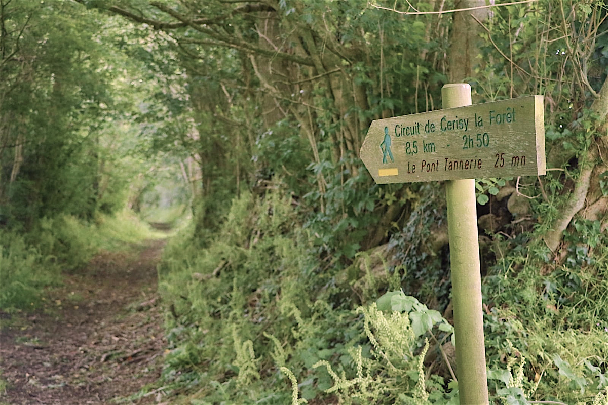 Meublé de tourisme > Les Rochers, Cerisy-la-Forêt - photo 2