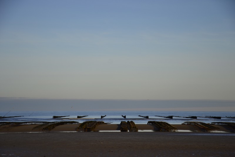 Chambres d'hôtes > La Rivière, Sainte-Marie-du-Mont - photo 3