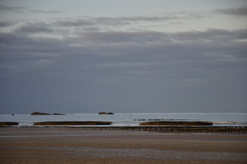 Chambres d'hôtes > La Rivière, Sainte-Marie-du-Mont - photo 6