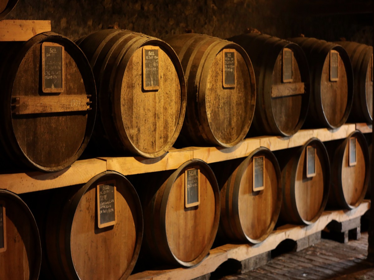 Le Printemps à la ferme au Manoir d'Apreval - Pennedepie