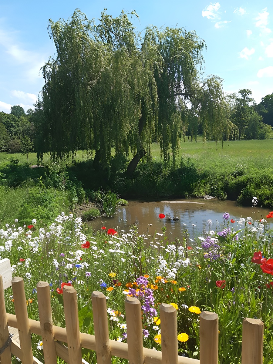Chambres d'hôtes Le Moulin du Locheur, Val d'Arry - photo 11
