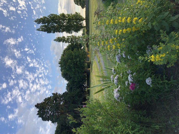 Chambres d'hôtes > la Maison du Hommeel, Gratot - photo 5