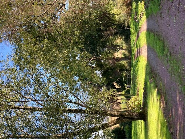 Chambres d'hôtes > Le petit verger, Hambye - photo 3