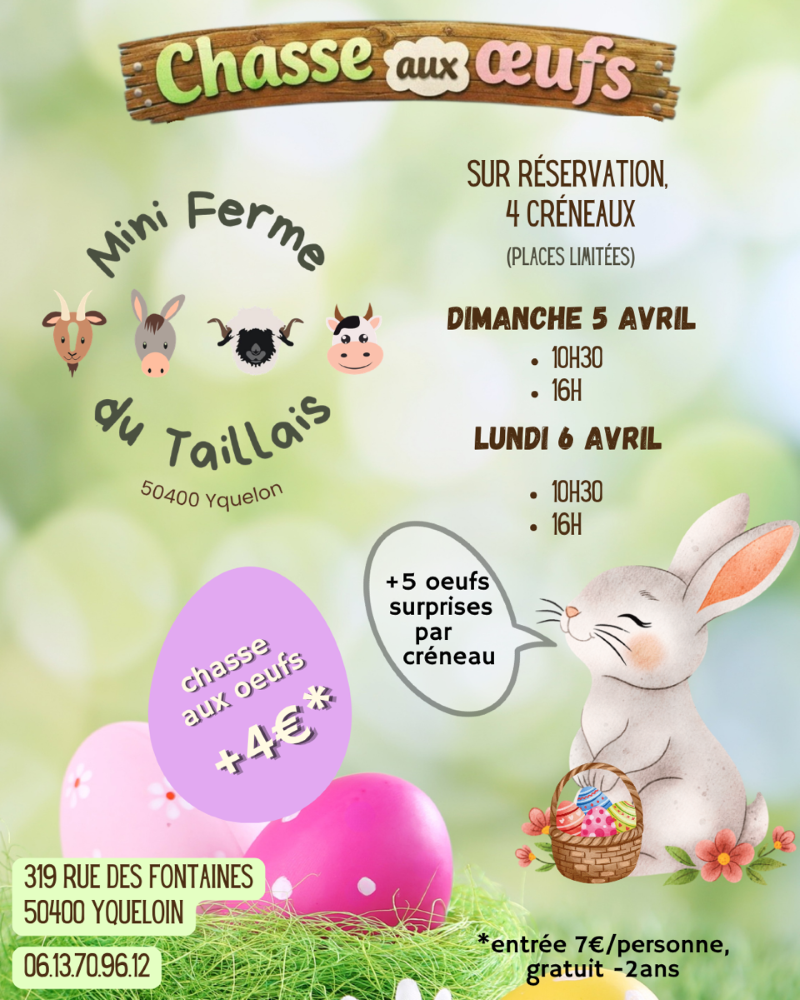 Chasse aux oeufs