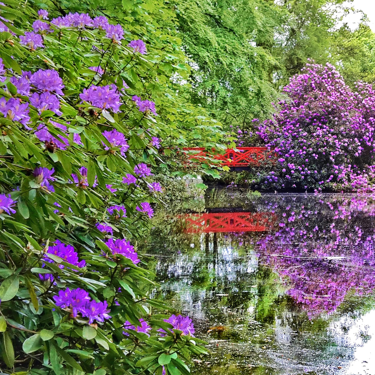 Chambres d'Hôtes > Château de Chantore, Bacilly - photo 12