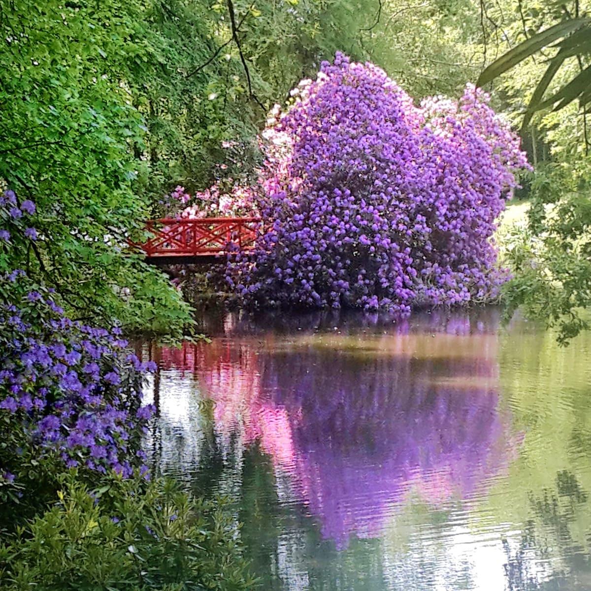 Chambres d'Hôtes > Château de Chantore, Bacilly - photo 2
