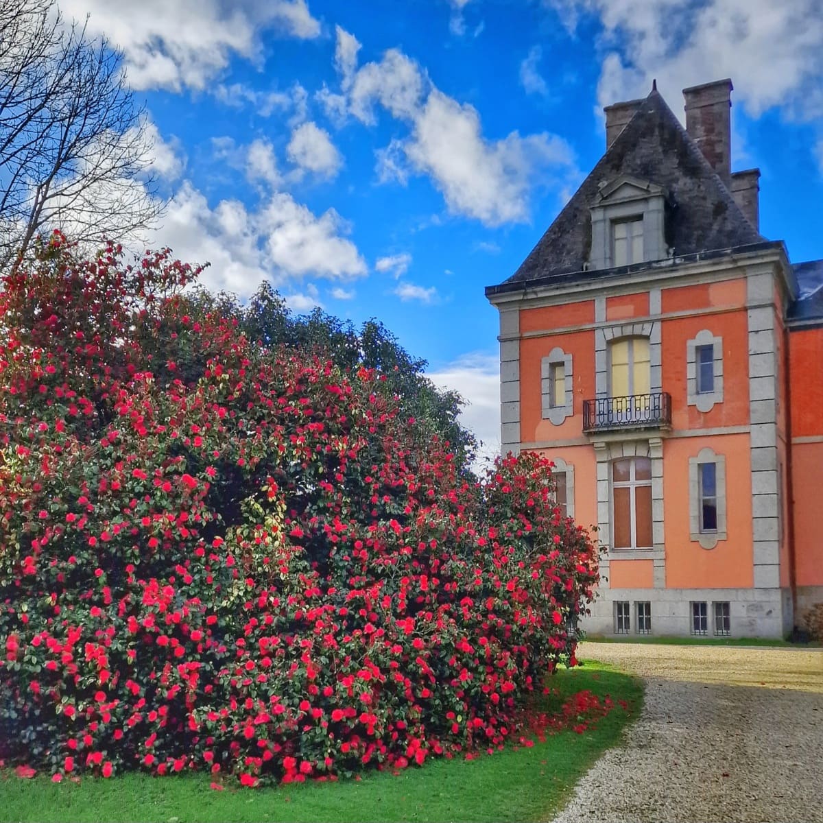 Chambres d'Hôtes > Château de Chantore, Bacilly - photo 9