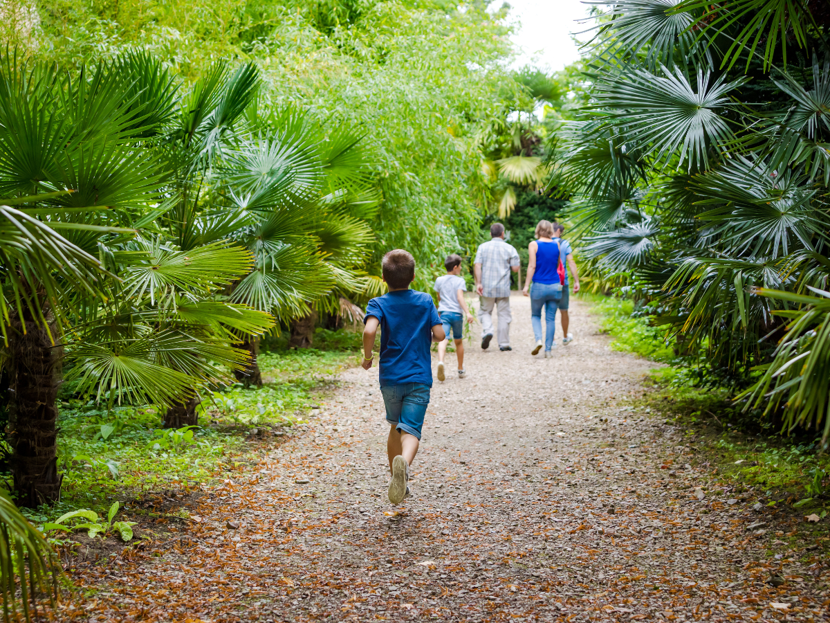 Jardins du Château de Vendeuvre, Vendeuvre - photo 7