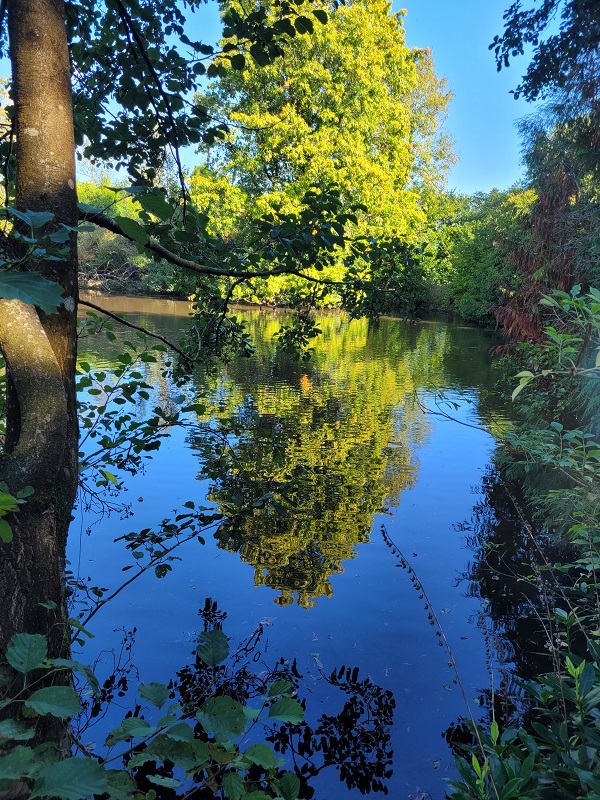 Chambres d'hôtes > L'Aventurine, Le Lorey - photo 4