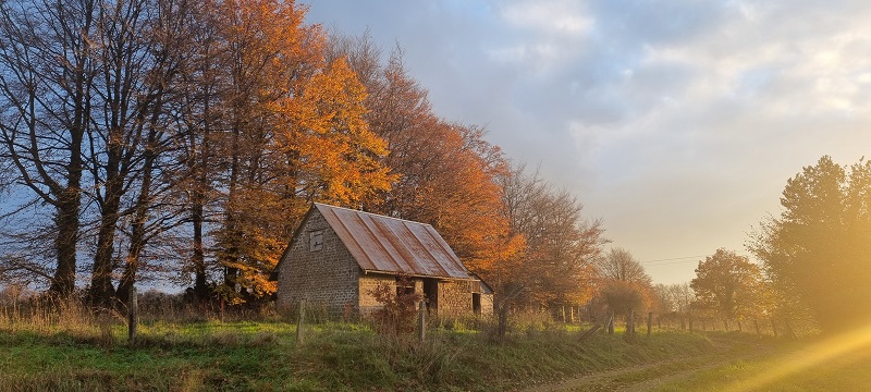 Meublé de tourime > La Tourtillière, Chaulieu - photo 5